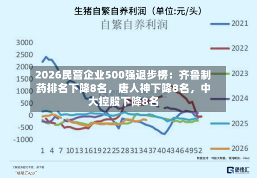 2026民营企业500强退步榜：齐鲁制药排名下降8名	，唐人神下降8名，中大控股下降8名-第2张图片