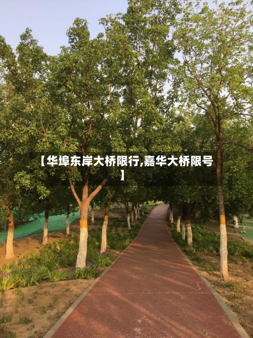 【华埠东岸大桥限行,嘉华大桥限号】-第3张图片