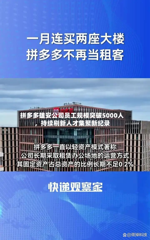 拼多多雄安公司员工规模突破5000人，持续刷新人才集聚新纪录-第3张图片