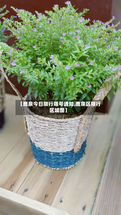 【鹿泉今日限行限号通知,鹿泉区限行区域图】-第2张图片