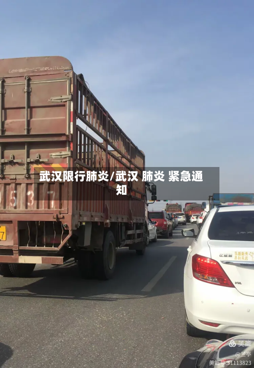 武汉限行肺炎/武汉 肺炎 紧急通知-第3张图片