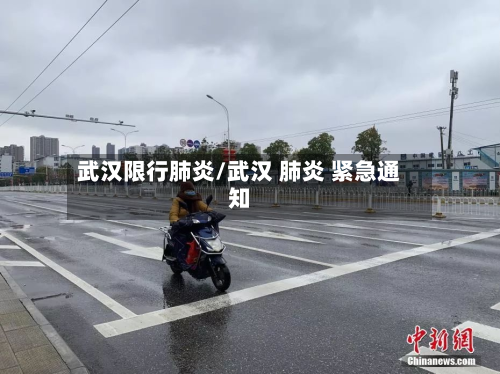 武汉限行肺炎/武汉 肺炎 紧急通知-第1张图片