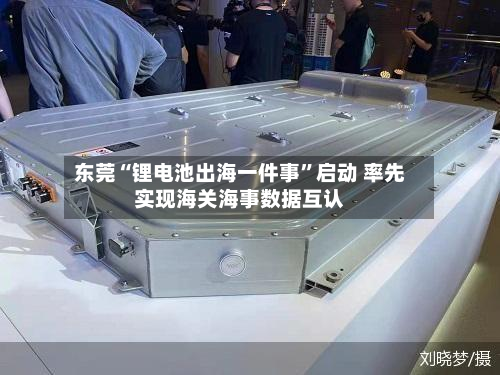 东莞“锂电池出海一件事	”启动 率先实现海关海事数据互认-第1张图片