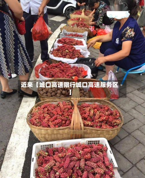 近来【城口高速限行城口高速服务区】-第2张图片