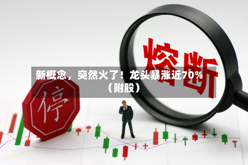 新概念，突然火了！龙头暴涨近70%（附股）-第3张图片