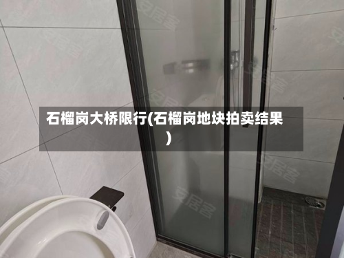 石榴岗大桥限行(石榴岗地块拍卖结果)-第3张图片