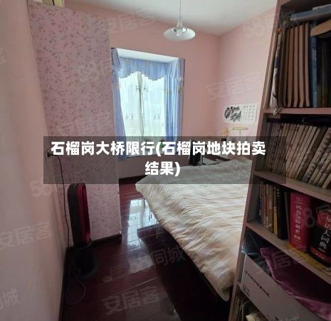 石榴岗大桥限行(石榴岗地块拍卖结果)-第1张图片