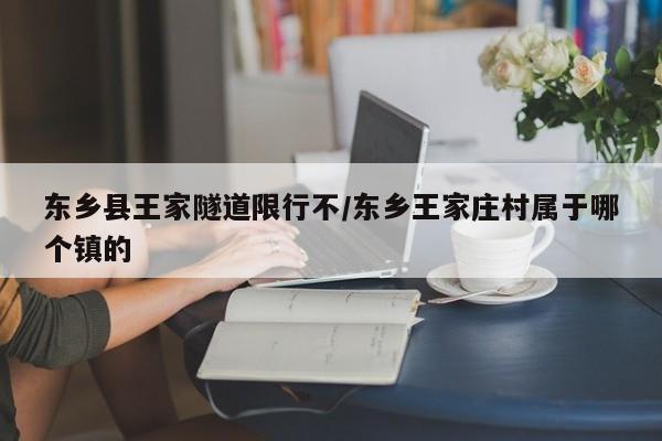 东乡县王家隧道限行不/东乡王家庄村属于哪个镇的