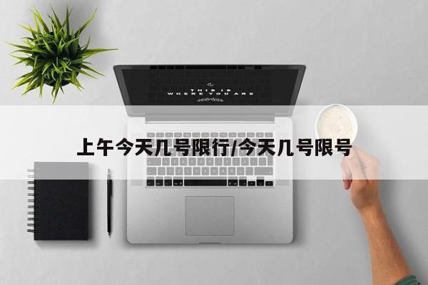 上午今天几号限行/今天几号限号